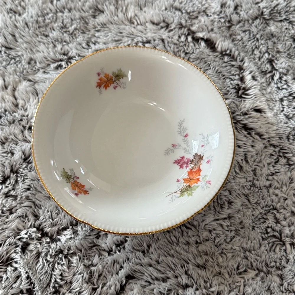 Winterling Bavaria‎ Germany Autumn Leaves Set of 4 Fruit Dessert Bowls 5.5